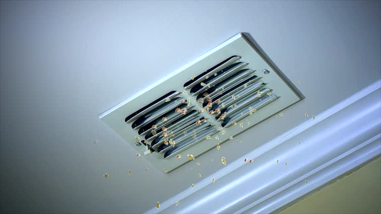 Best Affordable Air Duct Cleaning  in Lester Prairie, MN