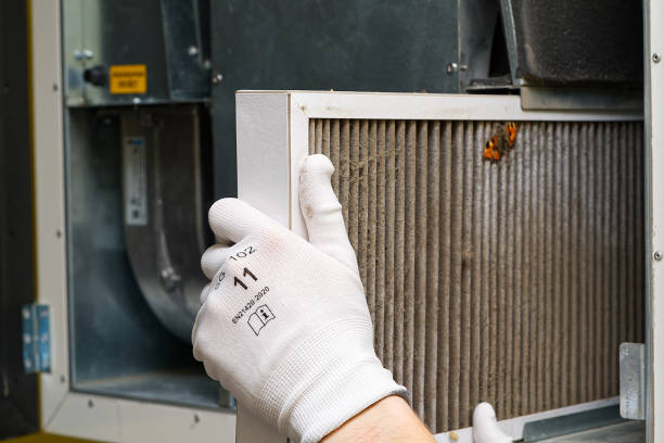 Best Residential Air Duct Cleaning  in Lester Prairie, MN