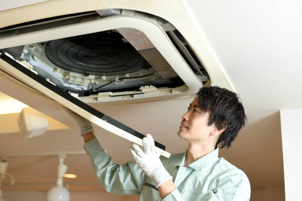 Best Air Vent Cleaning Services  in Lester Prairie, MN