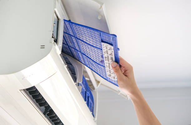 Best Duct Cleaning Specialists  in Lester Prairie, MN