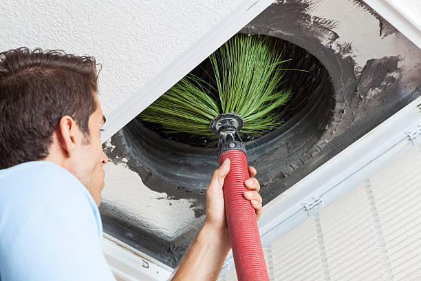 Best HVAC Maintenance and Cleaning  in Lester Prairie, MN