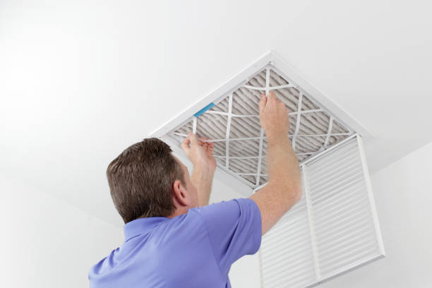 Best Home Air Vent Cleaning  in Lester Prairie, MN